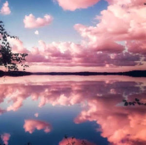 Meet your Posher, Jingyi